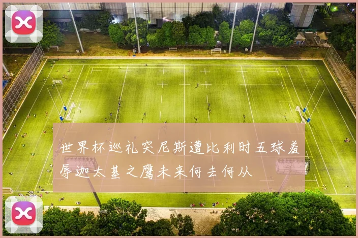 世界杯巡礼突尼斯遭比利时五球羞辱迦太基之鹰未来何去何从